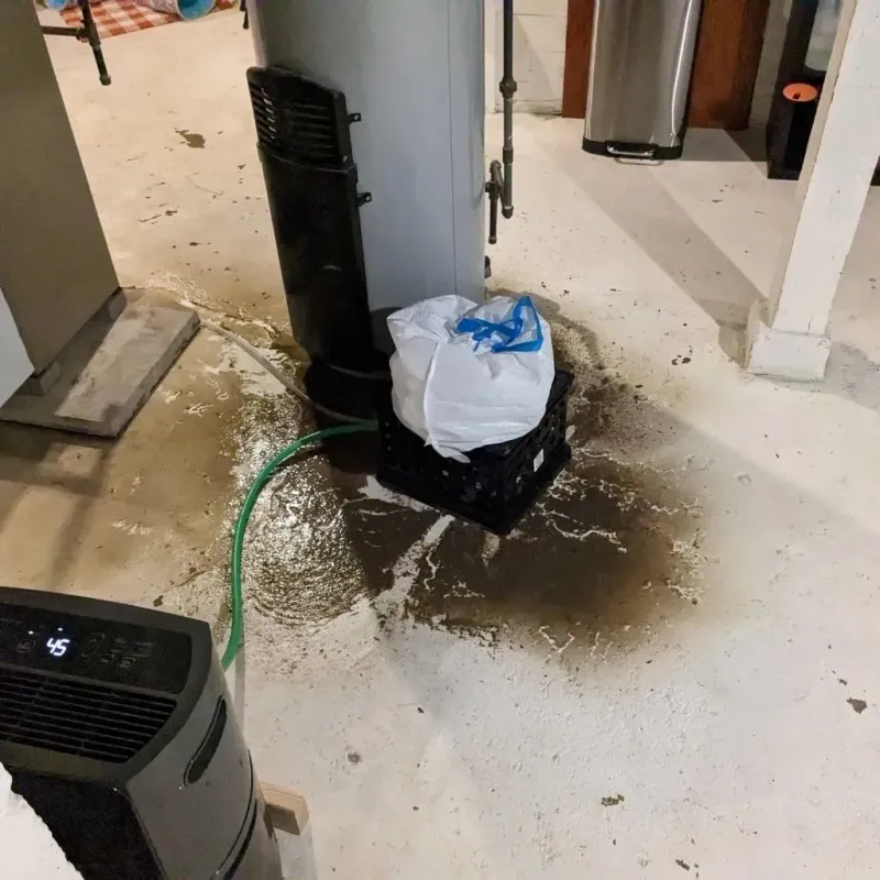 Sewage Backup Cleanup Service in Perry County, AL